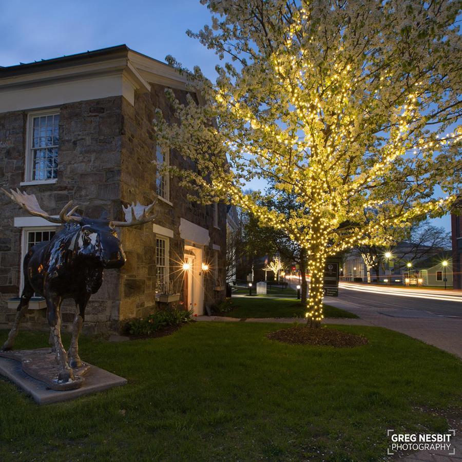 Governor'S Rock Motel Shaftsbury Luaran gambar